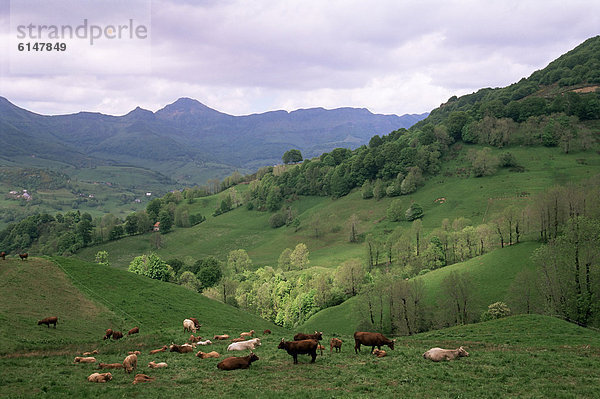 Frankreich  Europa  Auvergne