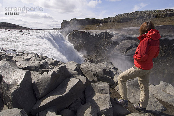 Dettifoss  Island  Polarregionen