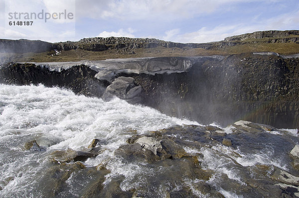 Dettifoss  Island  Polarregionen