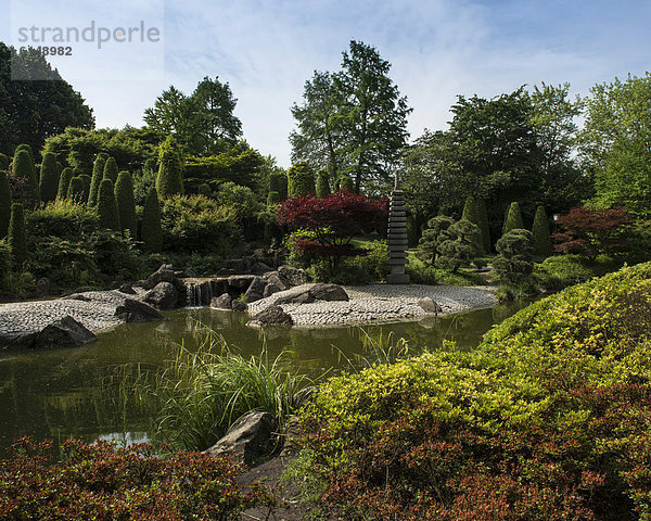 Japanischer Garten in Bonn  Nordrhein-Westfalen  Deutschland  Europa
