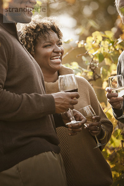 Freundschaft  Wein  trinken  Weinberg