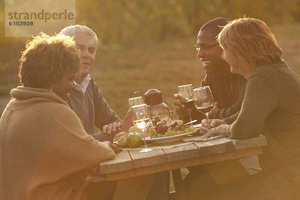 Freundschaft  Picknick  Wein  trinken