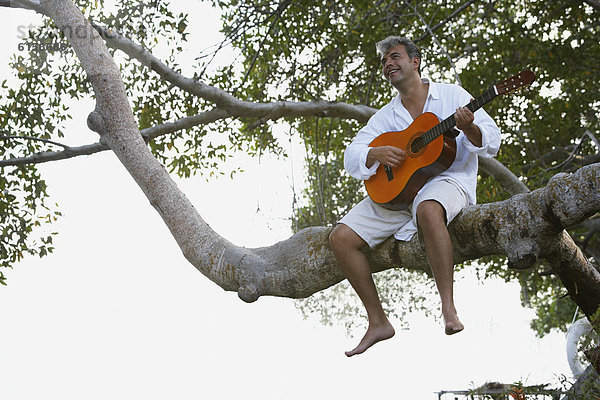 Mann  Baum  Gitarre  Südamerika  spielen