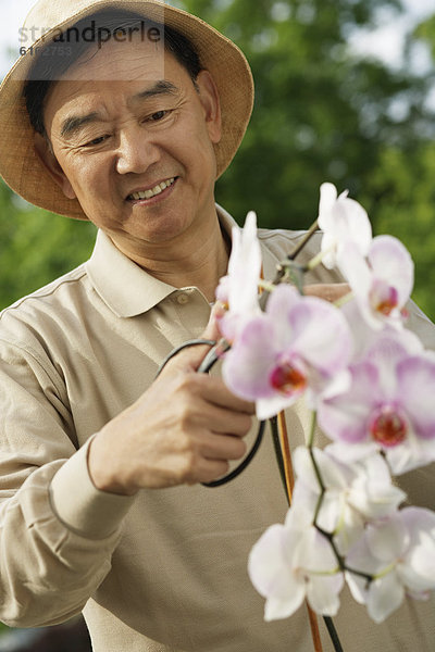 Senior Senioren Mann Blume beschneiden