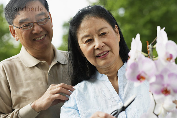 Senior Senioren Blume beschneiden