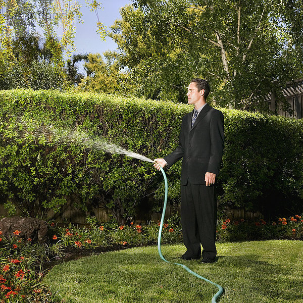 Wasser  Geschäftsmann  Hispanier  Pflanze