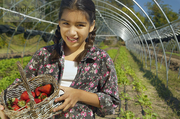 Korb  Hispanier  halten  Erdbeere  Pflanze  Mädchen