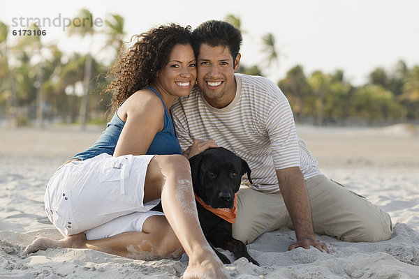 Strand  Hispanier  Hund