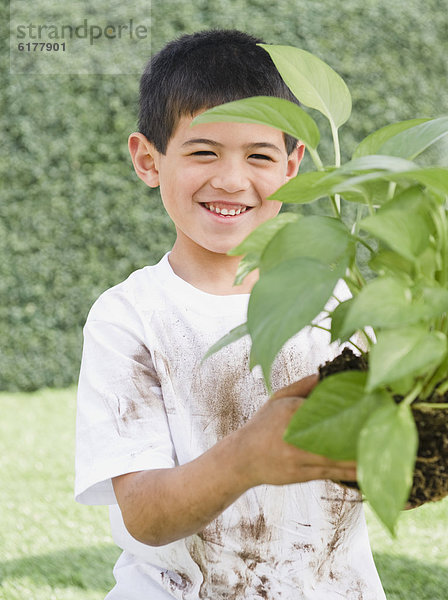 Junge - Person  halten  Pflanze  mischen  Garten  Mixed