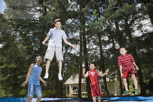 Bruder  springen  Trampolin