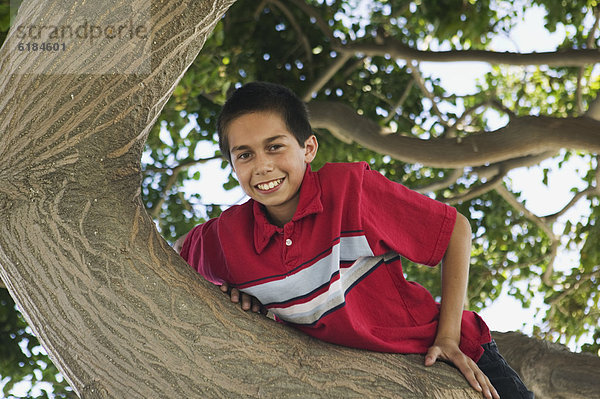 Junge - Person  Baum  Hispanier  klettern