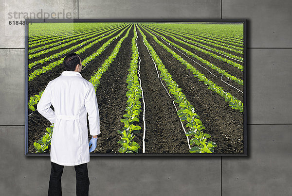 Fotografie  sehen  Wissenschaftler  Hispanier  Landwirtschaft  Fernsehen  sichtschutz