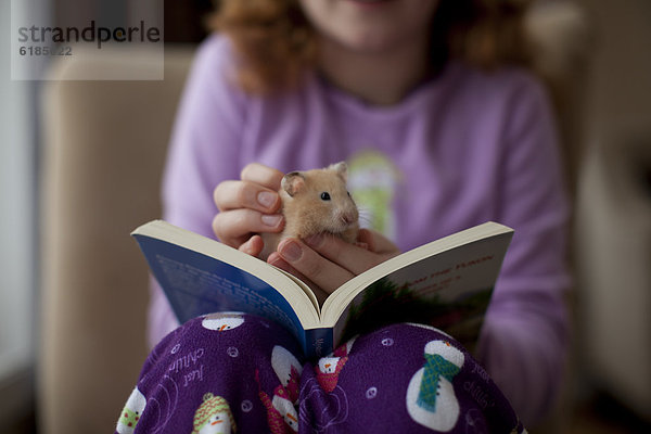 sitzend  Europäer  Buch  Mädchen  Taschenbuch  Hamster