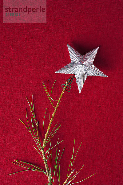 sternförmig  Baum  hoch  oben  Weihnachten  Silber