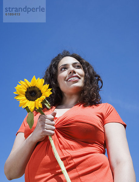 Außenaufnahme  Sonnenblume  helianthus annuus  Frau  halten  mischen  Mixed  freie Natur