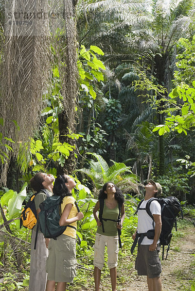 Freundschaft  Forschung  Regenwald