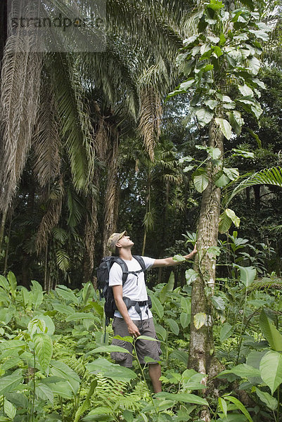 Mann  Forschung  Hispanier  Regenwald
