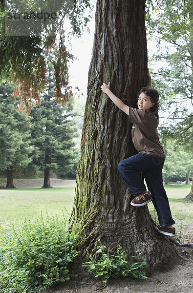 Junge - Person  Baum  mischen  Baumstamm  Stamm  klettern  Mixed