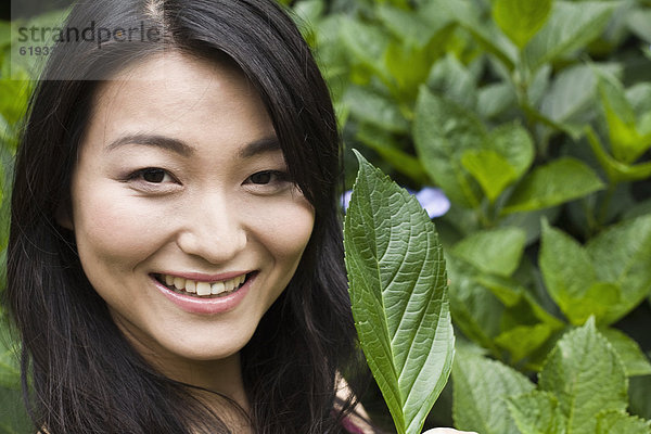 Frau  lächeln  Pflanzenblatt  Pflanzenblätter  Blatt  halten  japanisch