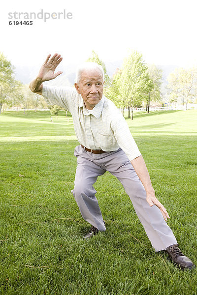 Außenaufnahme  Senior  Senioren  Mann  chinesisch  freie Natur