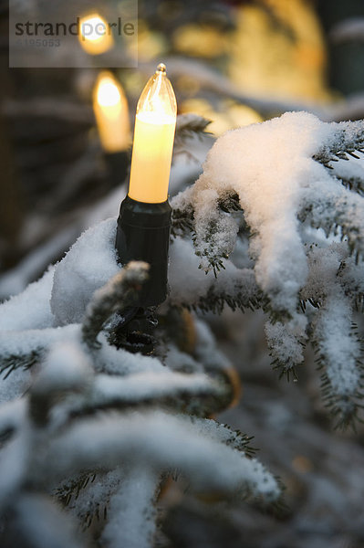 hoch  oben  nahe  Beleuchtung  Licht  Weihnachten  Faden  Saite