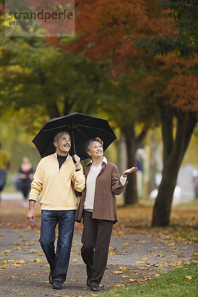 gehen  Regenschirm  Schirm  Herbst