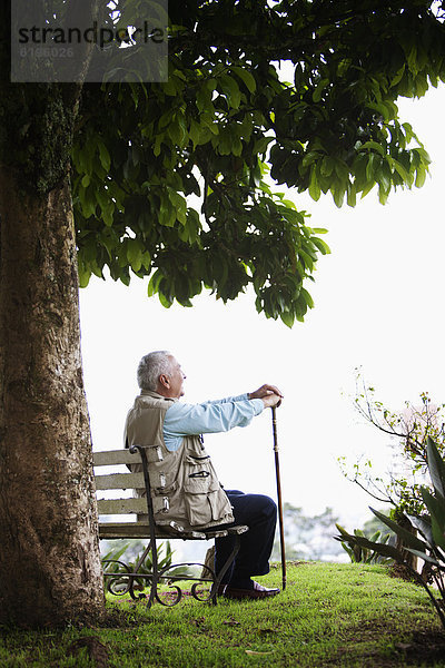 sitzend  Senior  Senioren  Mann  Sitzbank  Bank