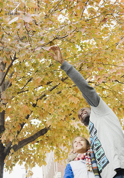 zeigen  Menschlicher Vater  Baum  Tochter