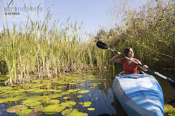 Frau  Hispanier  paddeln  Kajak  Everglades Nationalpark