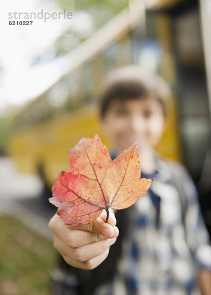 Europäer  Junge - Person  Pflanzenblatt  Pflanzenblätter  Blatt  halten  Herbst