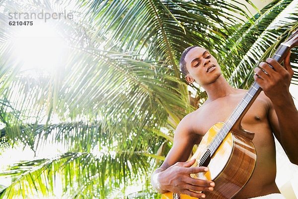 Mann  Baum  frontal  Gitarre  Palme  spielen