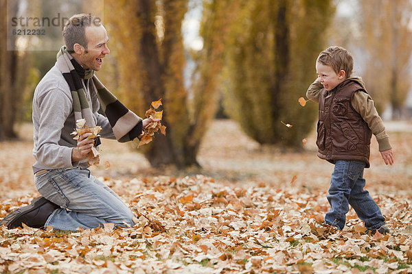 Europäer Menschlicher Vater Sohn Laub spielen