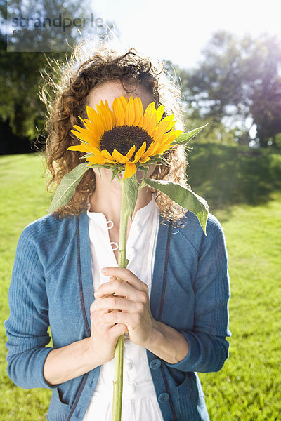 Sonnenblume  helianthus annuus  Frau  halten  frontal