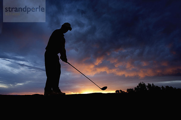 schaukeln  schaukelnd  schaukelt  schwingen  schwingt schwingend  Europäer  Sonnenuntergang  Golfspieler  Golfsport  Golf  Verein