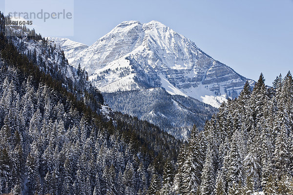 Berg  bedecken  Tal  Schnee