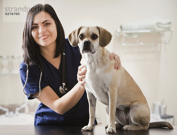 Europäer  Hund  Tierarzt  Untersuchung