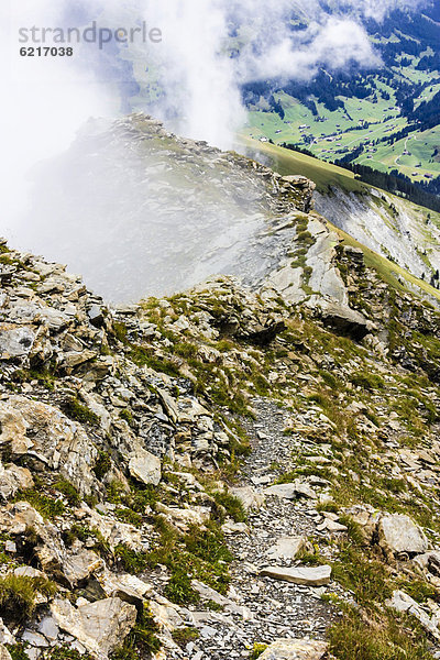 Europa Alpen Berner Oberland Schweiz Kanton Bern