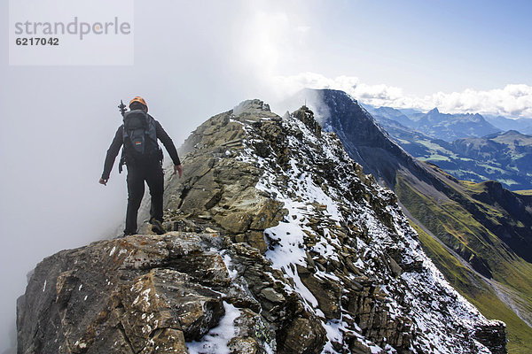 Bergsteiger auf dem Gipfelgrat zum Gsür  Adelboden  Berner Oberland  Alpen  Schweiz  Europa