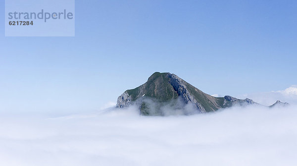 hoch oben Meer Nebel Schweiz