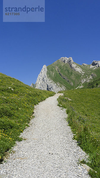 Europa Berg folgen wandern Wiese Schweiz