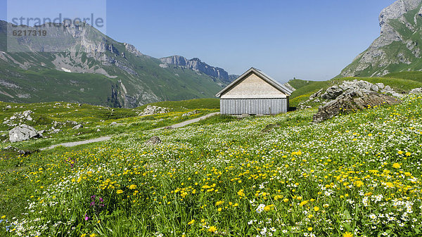 Hütte Europa Berg Wiese Schweiz