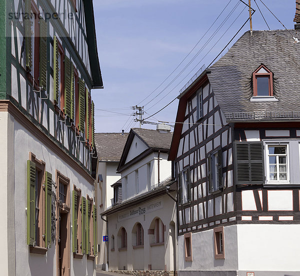 Europa Gebäude Dorf Kletterpflanze Deutschland Hälfte Hessen
