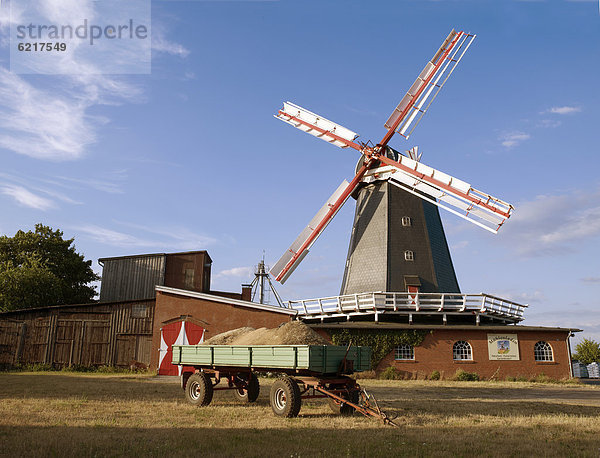 In Betrieb befindliche Windmühle  Bardowick  Lüneburger Heide  Niedersachsen  Deutschland  Europa
