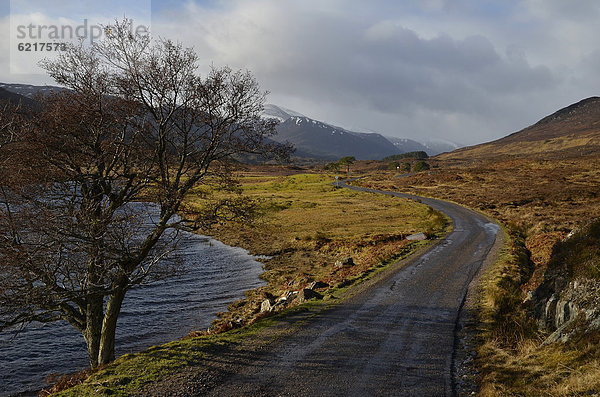 Kleine Straße am Loch Sealbhannach  Singletrackroad ins Glen Cannich  winterliche Highland Region  Highlands  Schottland  Vereinigtes Königreich  Europa