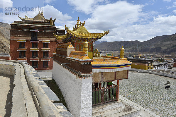 Tibetischer Buddhismus  Klostergebäude im traditionellen Baustil mit vergoldeten Dächern  Kloster Labrang  Xiahe  Gansu  ehemals Amdo  Tibet  China  Asien
