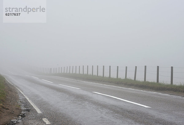 Dichter Nebel auf Straße in den schottischen Highlands  Grampian Mountains  Schottland  Vereinigtes Königreich  Europa