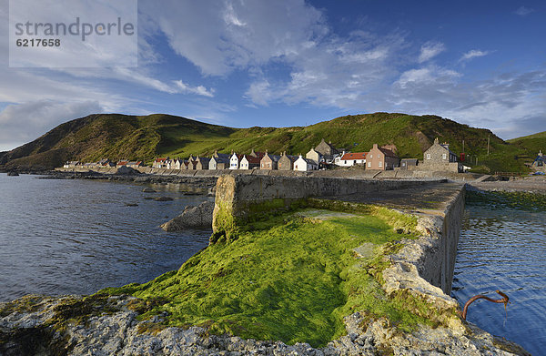 Europa Großbritannien Landschaft Küste grün Alge Dorf Kai angeln Schottland