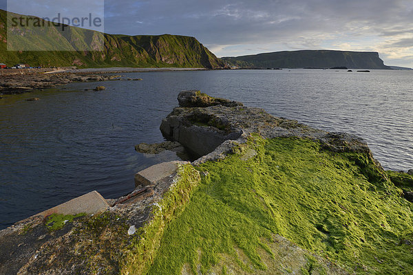 Küstenlandschaft mit grünen Algen auf der Crovie Pier und großen Steinen am Fischerort Crovie  Banffshire  Schottland  Vereinigtes Königreich  Europa