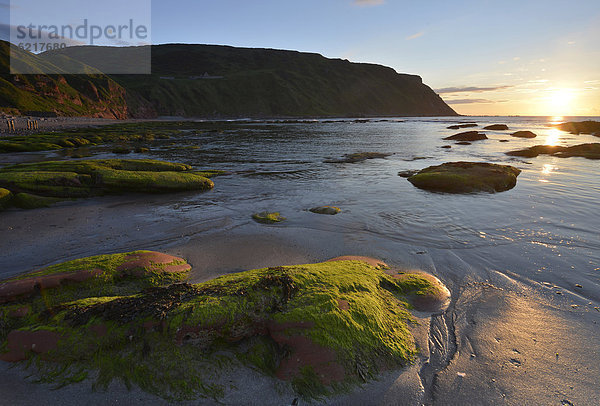 Tief stehende Sonne zur Sommmersonnenwende  algenbesetze Steine im Meer bei Ebbe vor der Steilküste in Gardenstown  Banffshire  Schottland  Vereinigtes Königreich  Europa