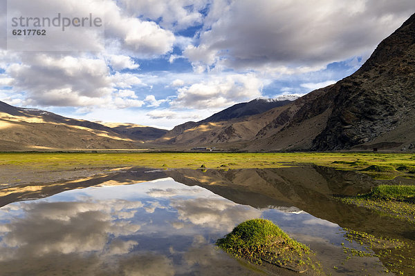 Morgendliche Spiegelung an einem Teich  Ladakh  Nordindien  Indien  Asien